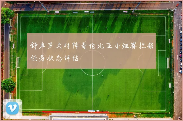 舒库罗夫对阵哥伦比亚小组赛拦截任务状态评估